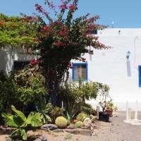Le 9 cose da fare a Fuerteventura... + 2