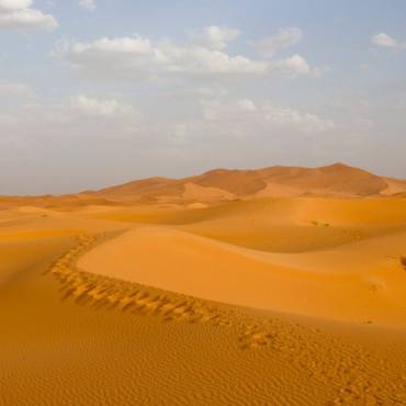 Sahara-desiderio-di-stelle-e-dune