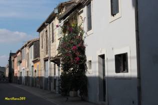 Cosa vedere in Camargue tre città da favola-più una (131)