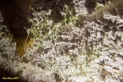 Viaggio nel magico mondo delle Grotte di Postumia (53)